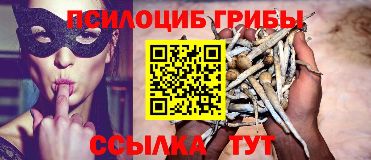 Псилоцибиновые грибы прущие грибы Великие Луки